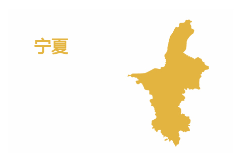 思异云 · 宁夏节点介绍